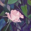 Diane's Rose